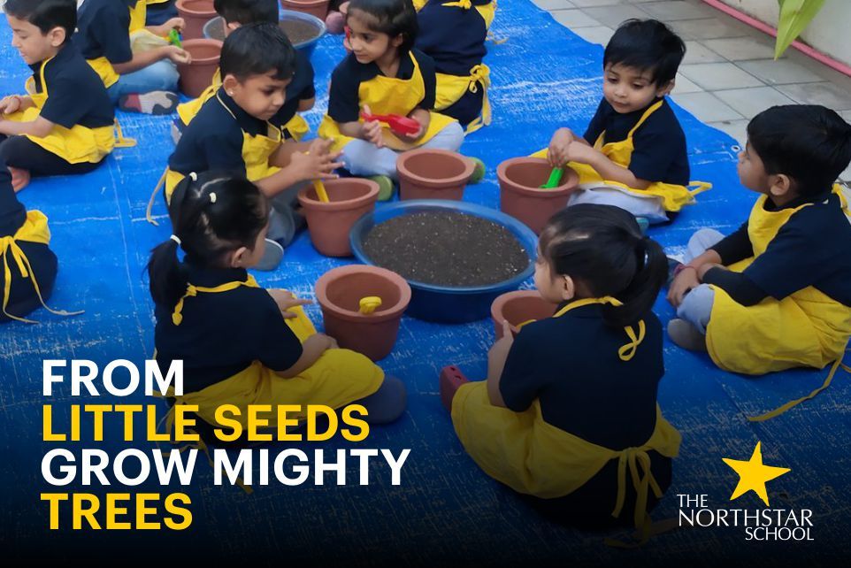 From Little Seeds Grow Mighty Trees