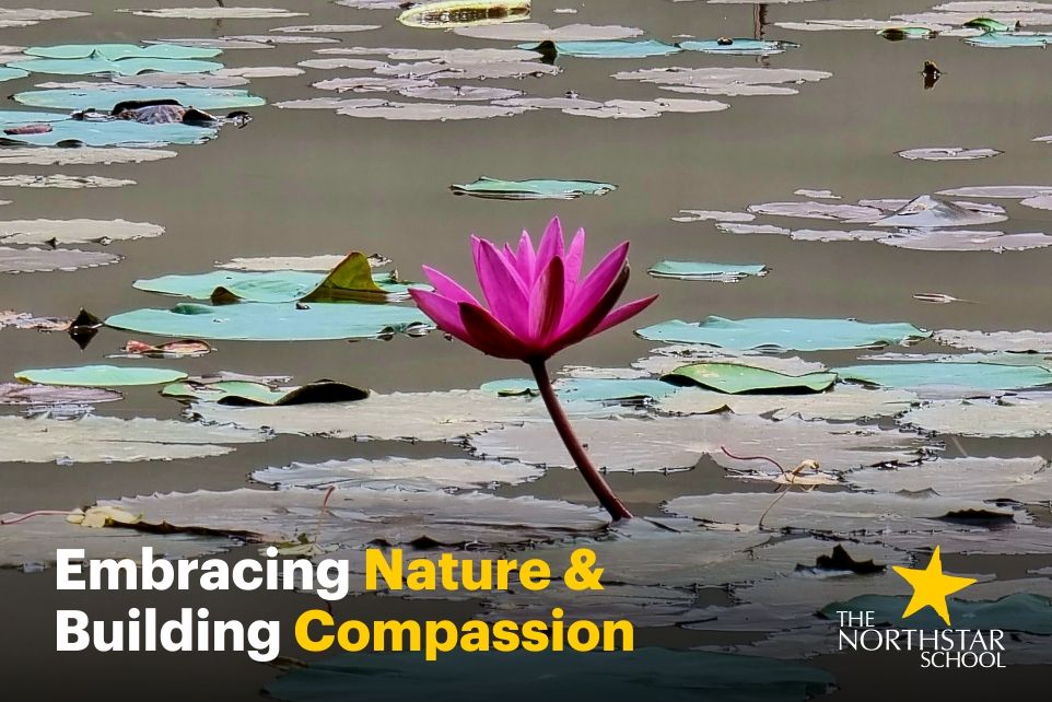 Embracing Nature Building Compassion Embracing Nature Building Compassion