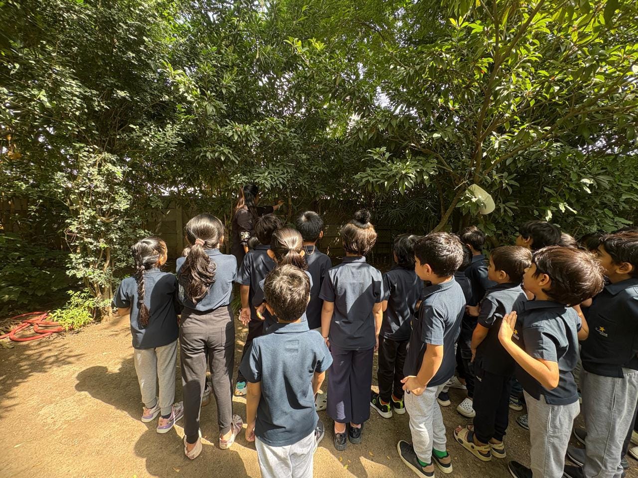 Learners Celebrate Wildlife Week with Nature Exploration