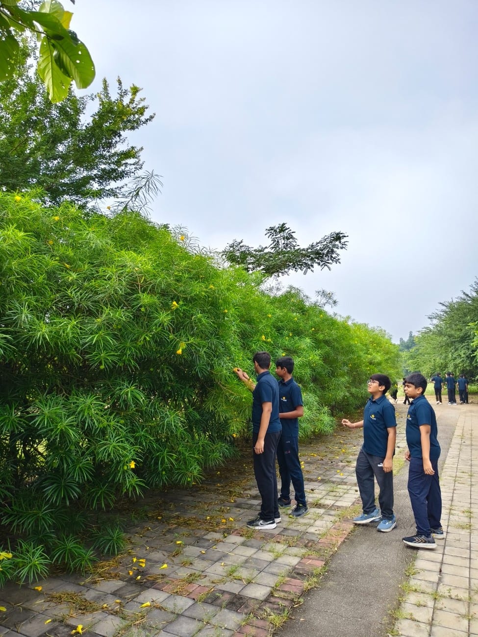 Learners Celebrate Wildlife Week with Nature Exploration