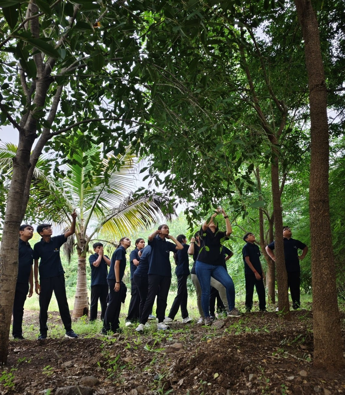 Learners Celebrate Wildlife Week with Nature Exploration