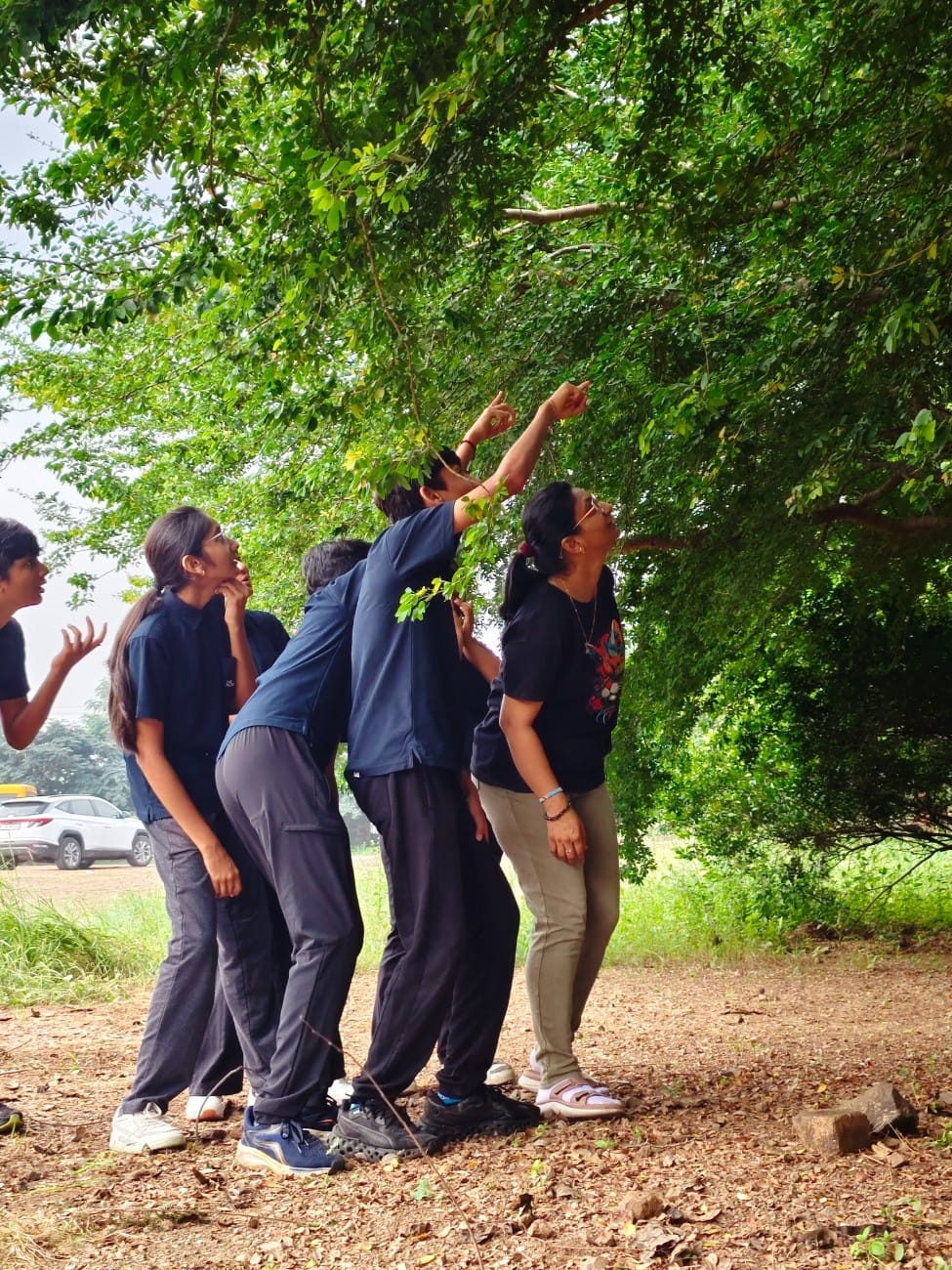 Learners Celebrate Wildlife Week with Nature Exploration