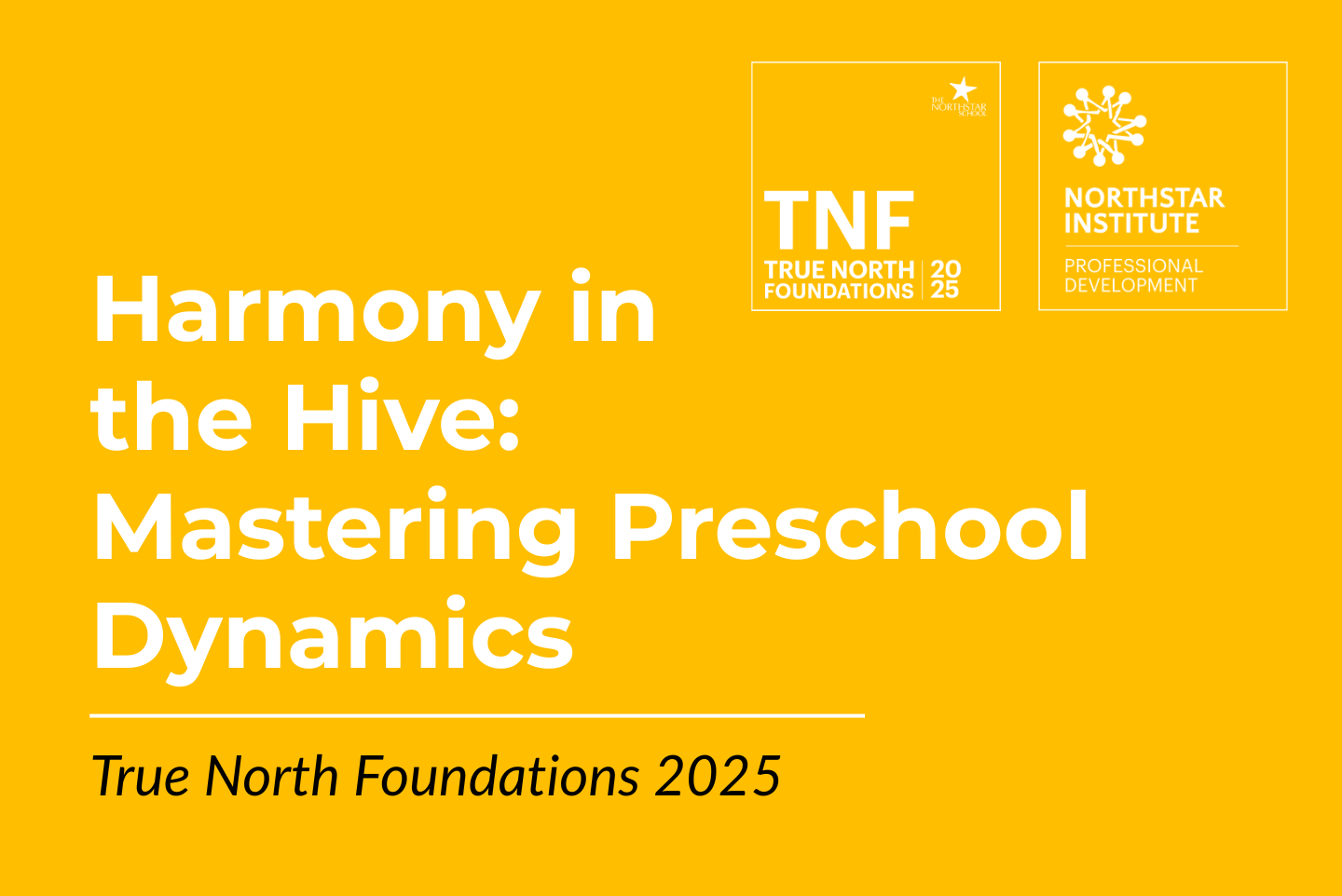 Harmony in the Hive: Mastering Preschool Dynamics