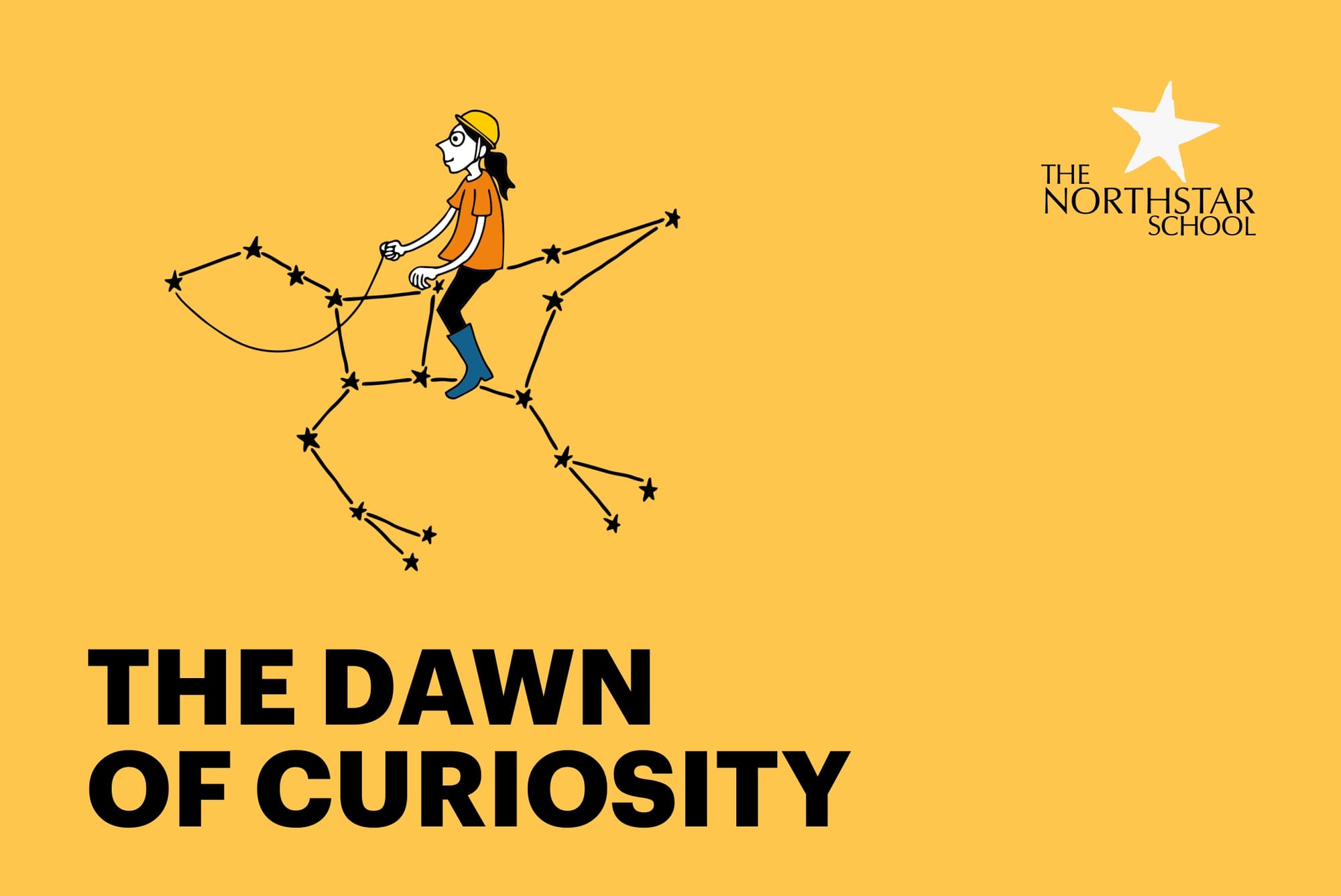 The Dawn of Curiosity