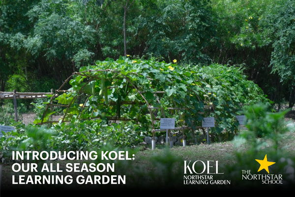 Introducing Koel - Our All Season Learning Garden
